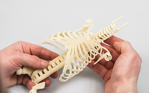 3D printed baby skeleton 3D printing
