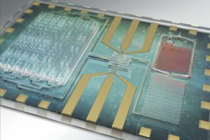 lab-on-a-chip sepsis detection