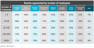 challenges by employee numbers