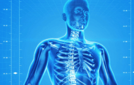 human skeleton bones largest orthopedic device companies ortho