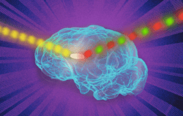 MIT fluorescence brain implants