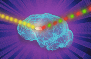 MIT fluorescence brain implants