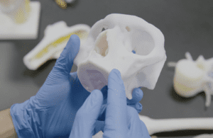 A gloved hand holds a 3D-printed skull.