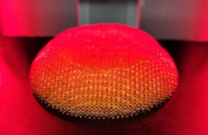 A 3D-printed breast implant made with CollPlant bioink on a Stratasys P3.