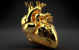 An illustration of an anatomical heart made of gold. Gold is a conflict mineral used by Medtronic.